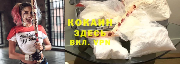 индика Костерёво