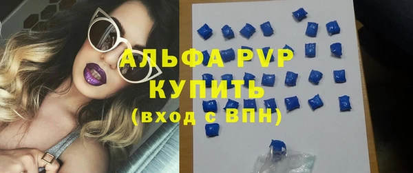 сатива Корсаков