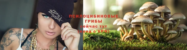 бошки Кодинск