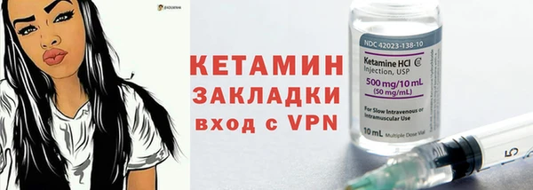 индика Костерёво