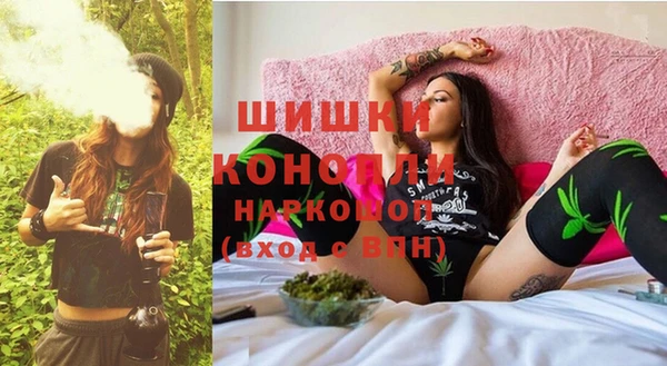 индика Костерёво