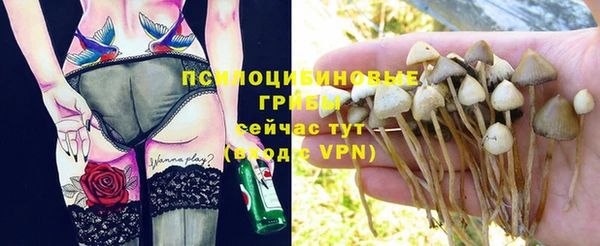 первитин Козельск