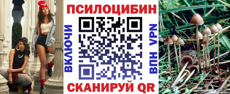 где найти   Кирсанов  Псилоцибиновые грибы MAGIC MUSHROOMS 